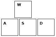 WASD keys